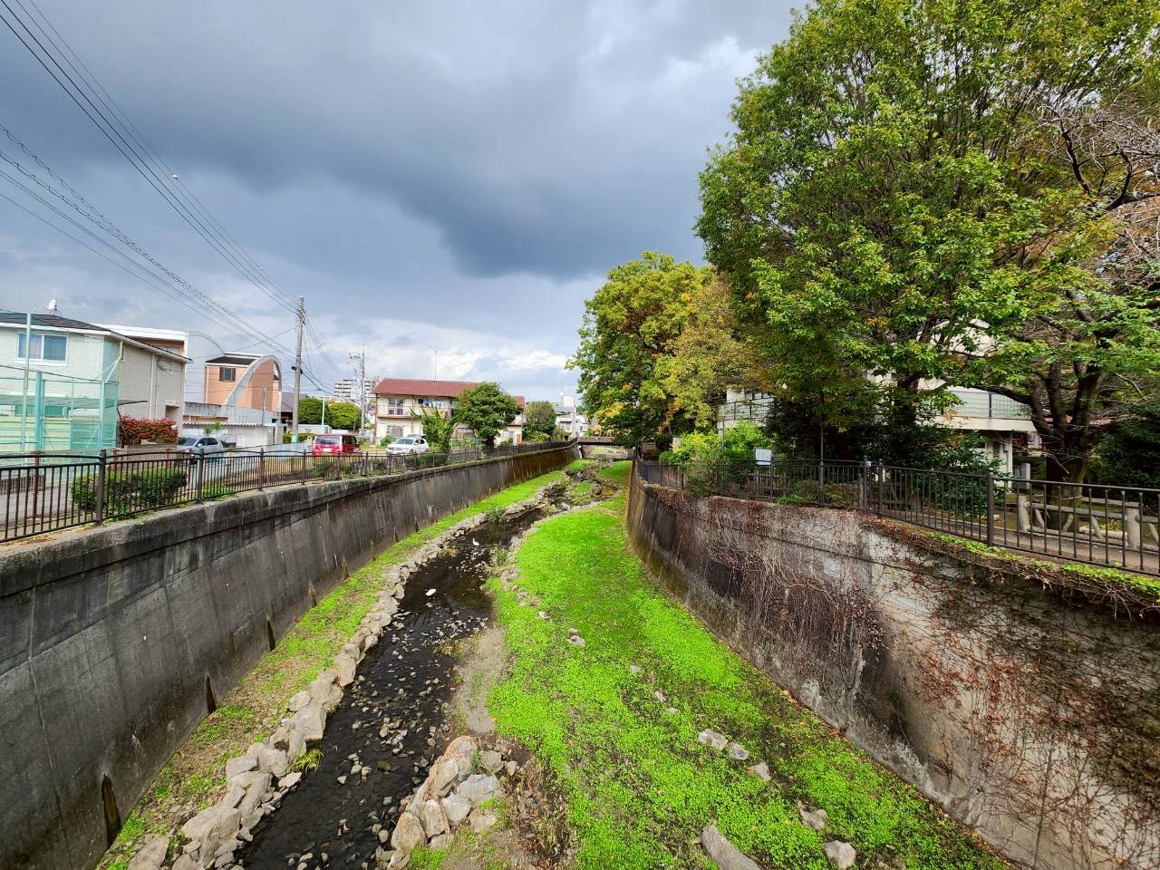 三鷹エリア🏞【丸池公園】🦢