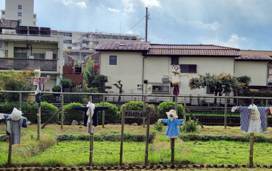 三鷹エリア🏞【丸池公園】🦢