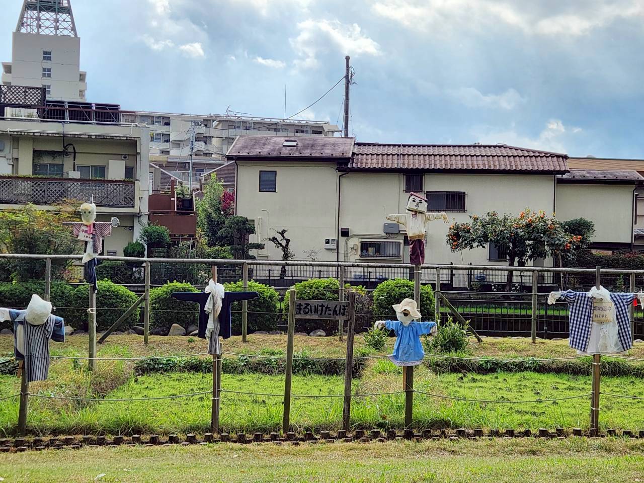 三鷹エリア🏞【丸池公園】🦢