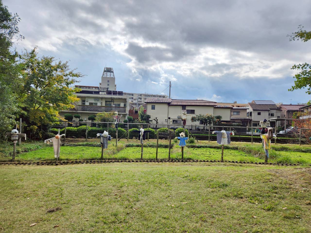 三鷹エリア🏞【丸池公園】🦢