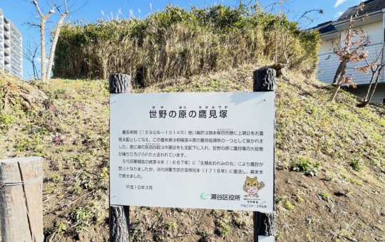 【瀬谷区】世野の原の鷹見塚