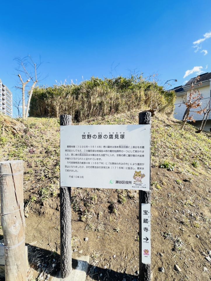 【瀬谷区】世野の原の鷹見塚　