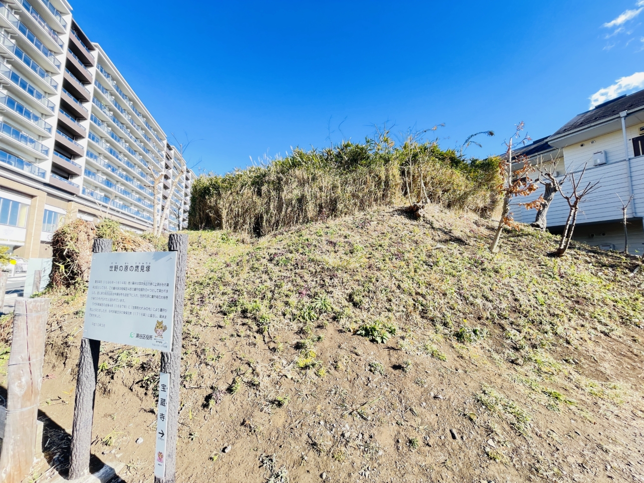 【瀬谷区】世野の原の鷹見塚　