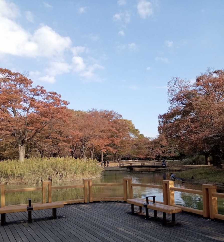 ☆秋の紅葉スポット☆【代々木公園】