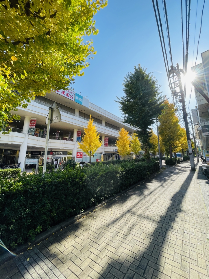 【旭区】二俣川店前の街路樹