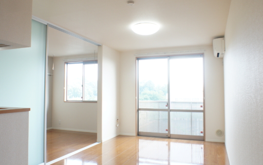 広々1LDK☆　ミオプラサール 202