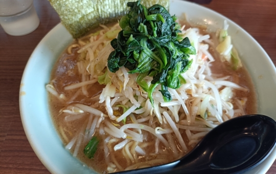 野菜たっぷり豚骨ラーメン【本流たま家姉妹店 ８３１家】