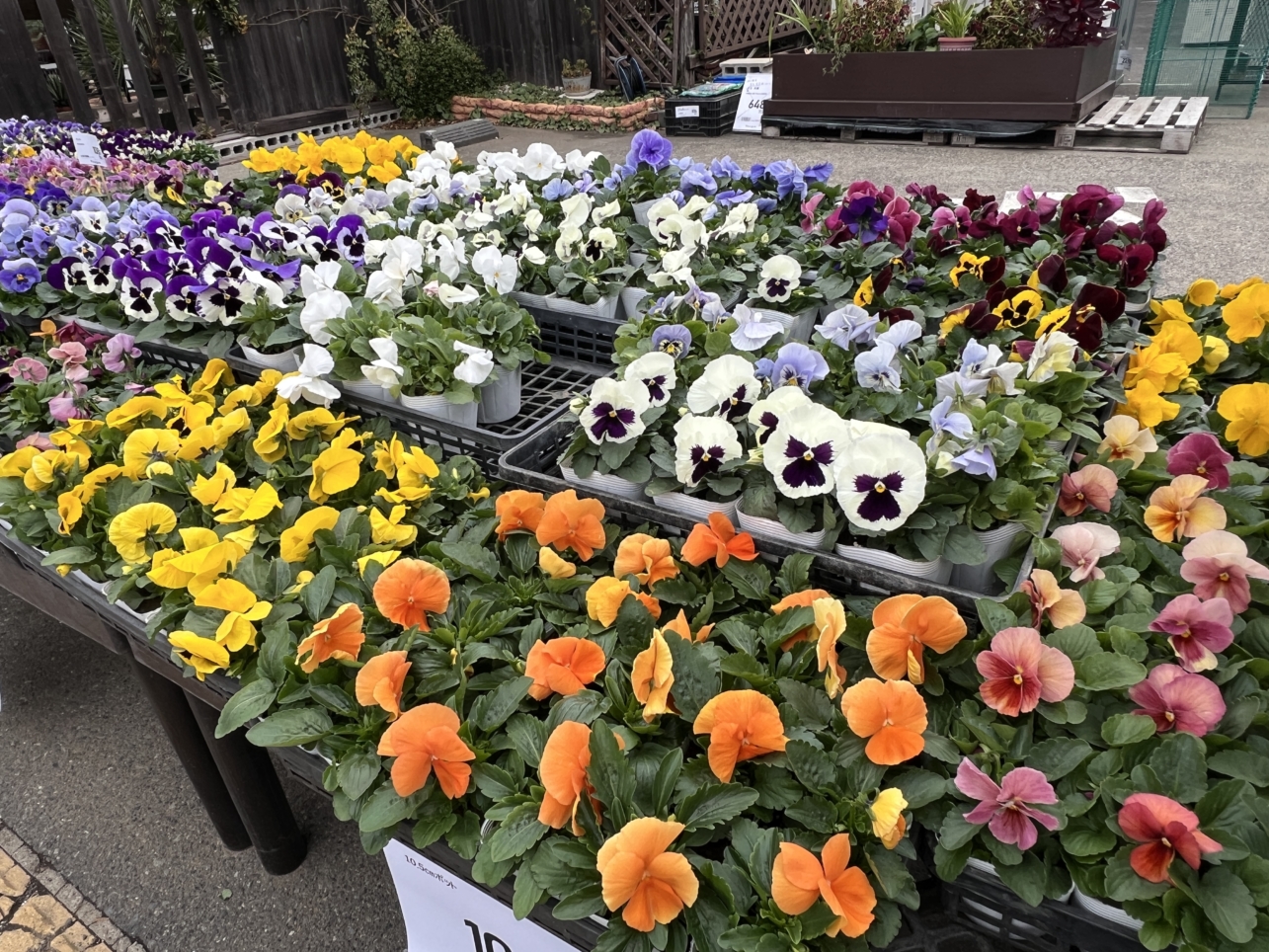 なんでも揃う便利なホームセンター【ユニディ相模大野店/相模大野・東林間】