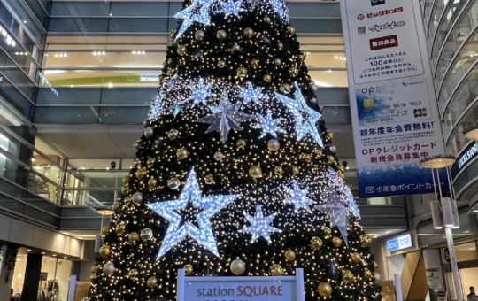 今年も大きなキレイなツリーが登場【相模大野】