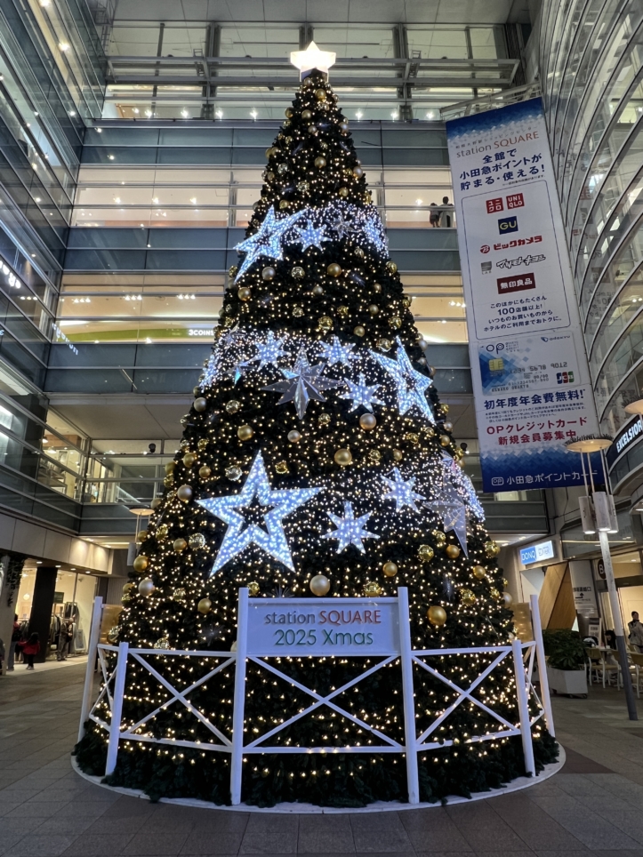 今年も大きなキレイなツリーが登場【相模大野】