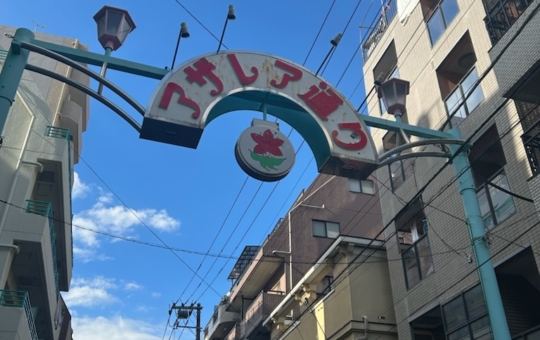【駒込駅】 駒込アザレア通り商店街 — 駅前に広がる花と人情の通り★