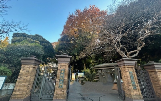 🍂目白駅前をぶらり散歩🍂学習院大学の前で感じる秋の気配🍂