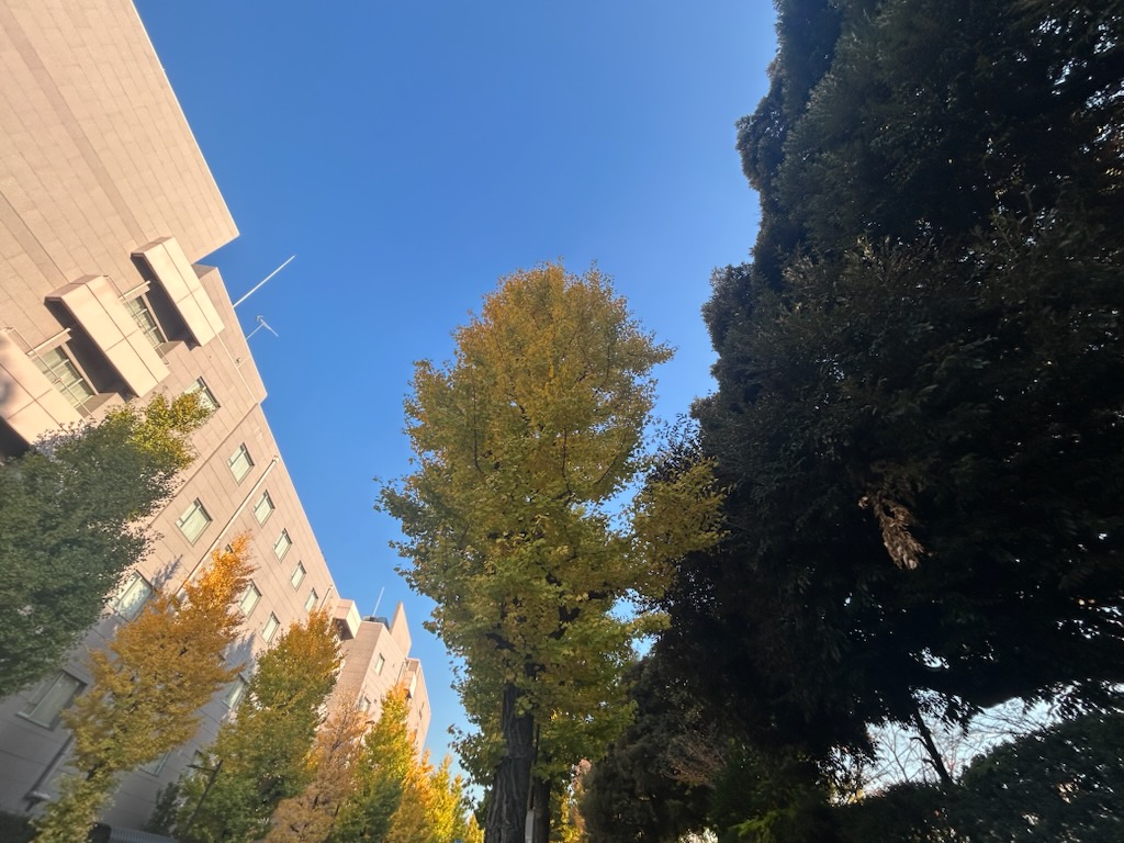 🍂目白駅前をぶらり散歩🍂学習院大学の前で感じる秋の気配🍂
