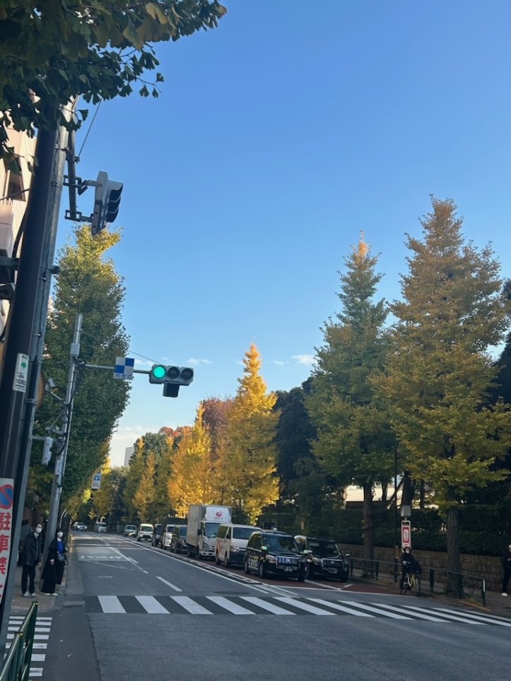 🍂目白駅前をぶらり散歩🍂学習院大学の前で感じる秋の気配🍂