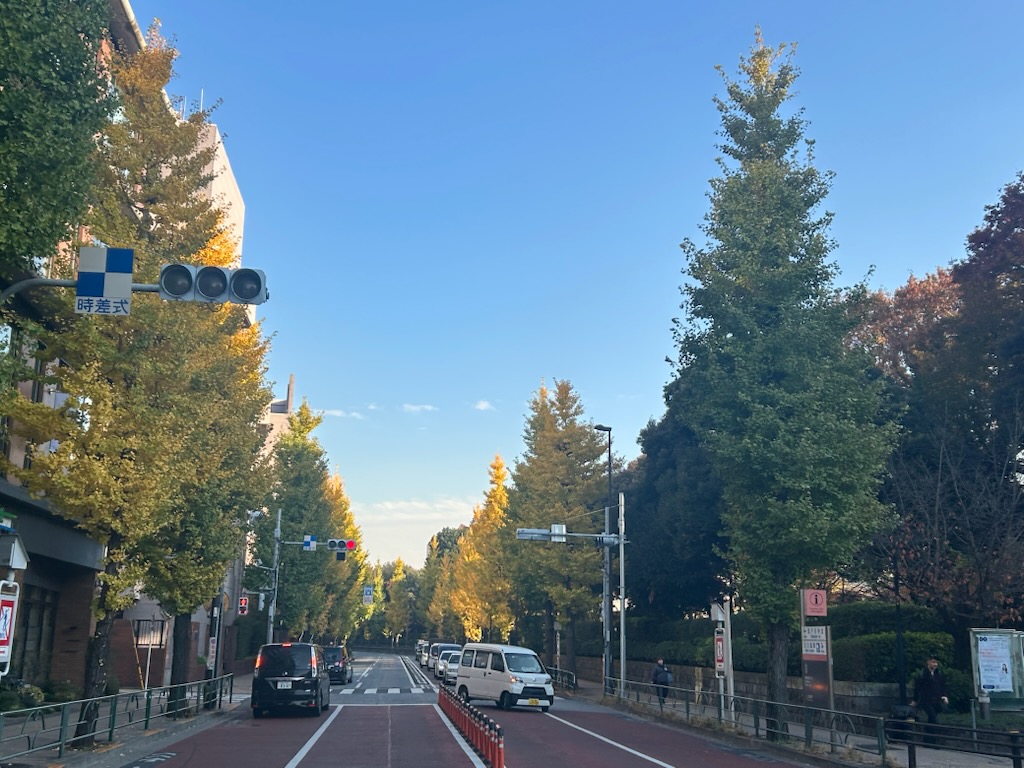 🍂目白駅前をぶらり散歩🍂学習院大学の前で感じる秋の気配🍂