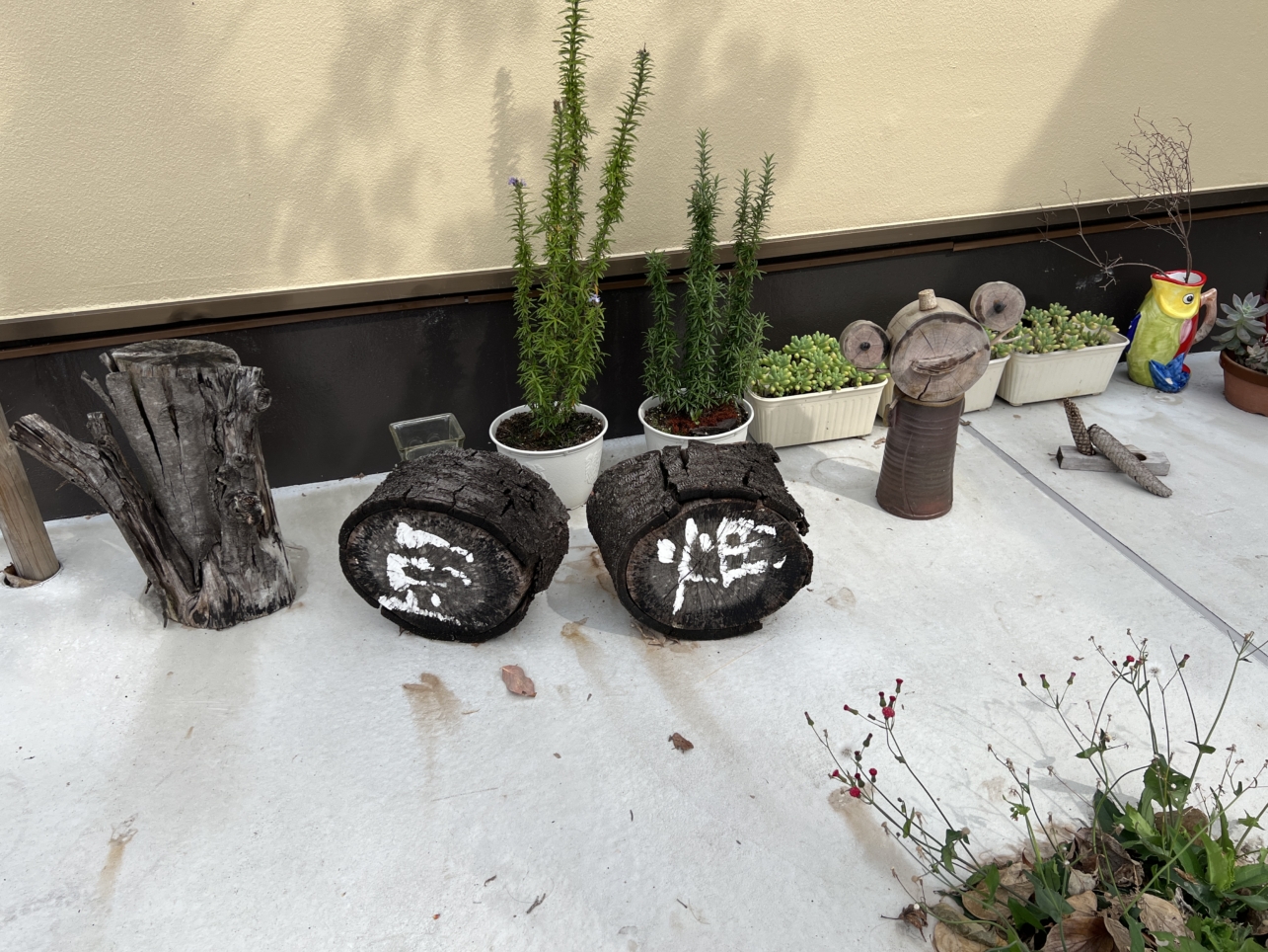 自家製豆腐のお店【とうふ工房空畑/鶴間】