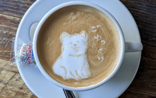 ☆愛犬と一緒に楽しめるカフェ☆【anea cafe SANGUBASHI】