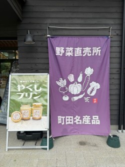 ★薬師池公園で味わう癒しの一品【やくしプリン】★