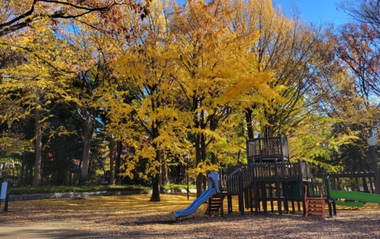 紅葉の蘆花恒春園🍂