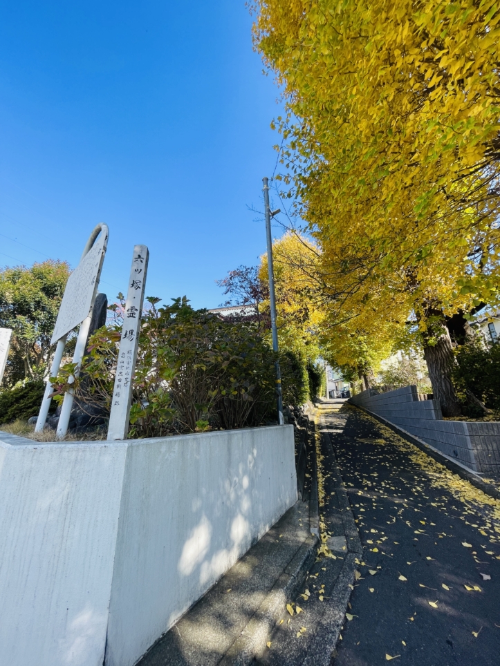 【旭区】六ツ塚　