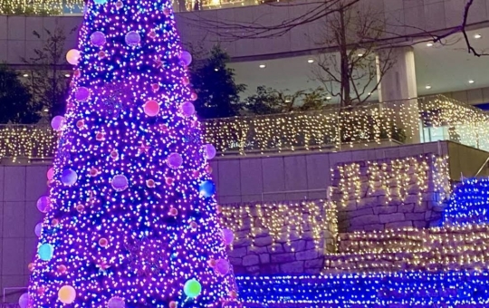 ☆初台の巨大クリスマスツリー☆【東京オペラシティタワー】