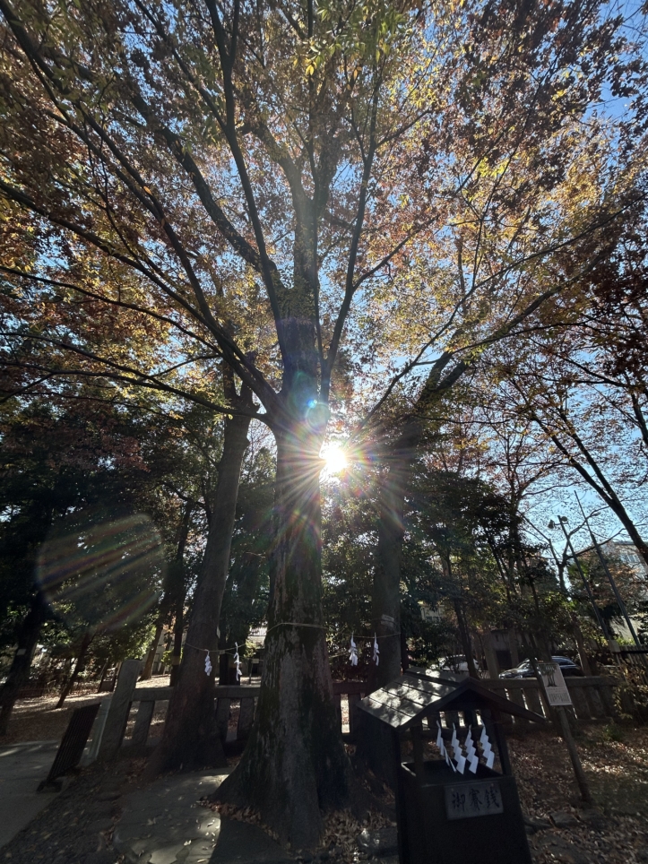 調布の里の鎮守様☆布多天神社