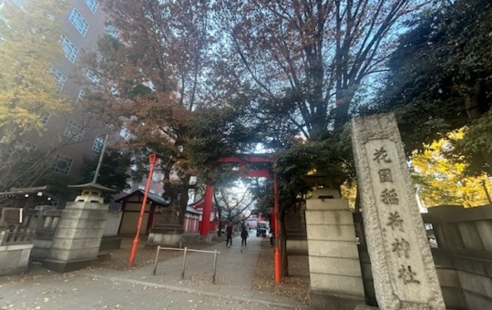 🍂秋色に染まる花園神社 ～新宿の隠れた杜🍂