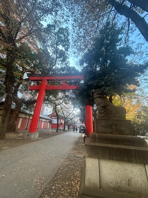 🍂秋色に染まる花園神社 ～新宿の隠れた杜🍂