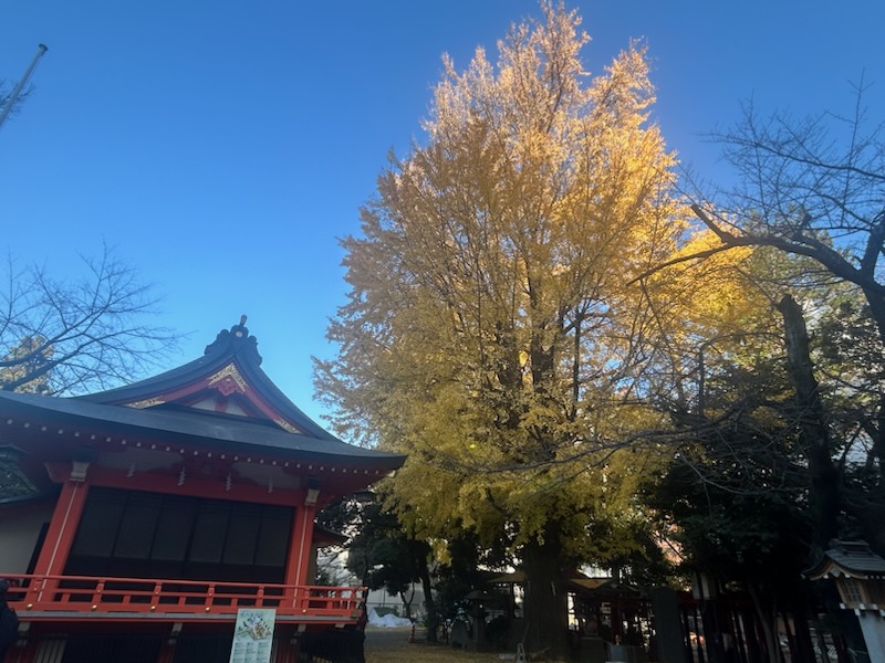 🍂秋色に染まる花園神社 ～新宿の隠れた杜🍂
