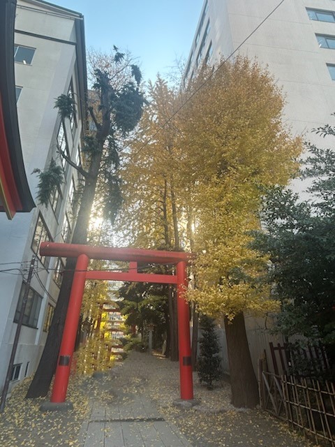 🍂秋色に染まる花園神社 ～新宿の隠れた杜🍂