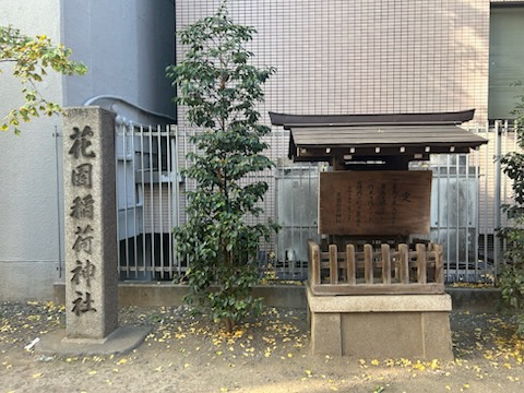 🍂秋色に染まる花園神社 ～新宿の隠れた杜🍂