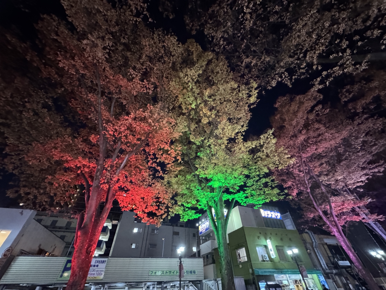 イルミネーションが点灯しました♪【イベント】