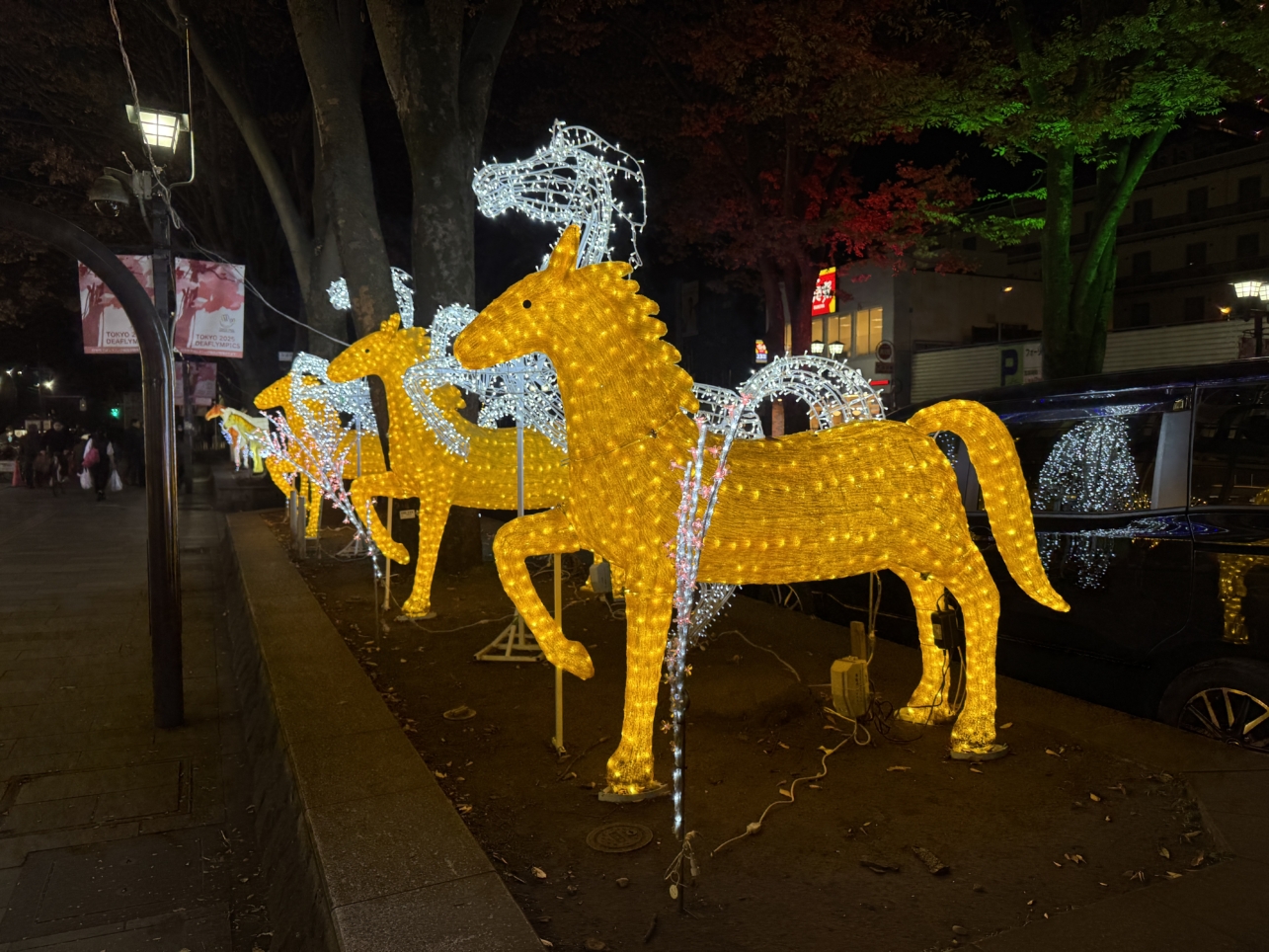 イルミネーションが点灯しました♪【イベント】