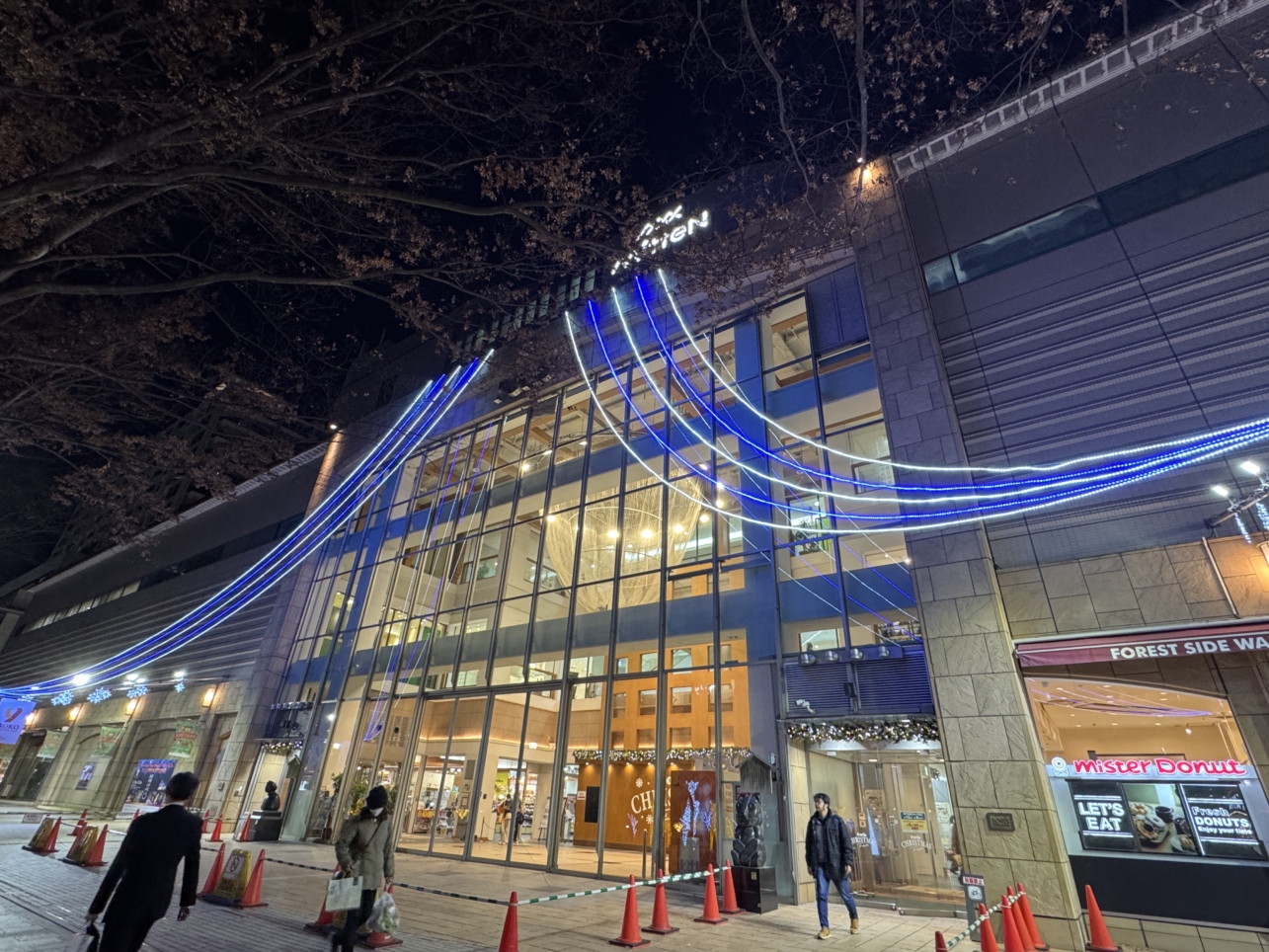 イルミネーションが点灯しました♪【イベント】