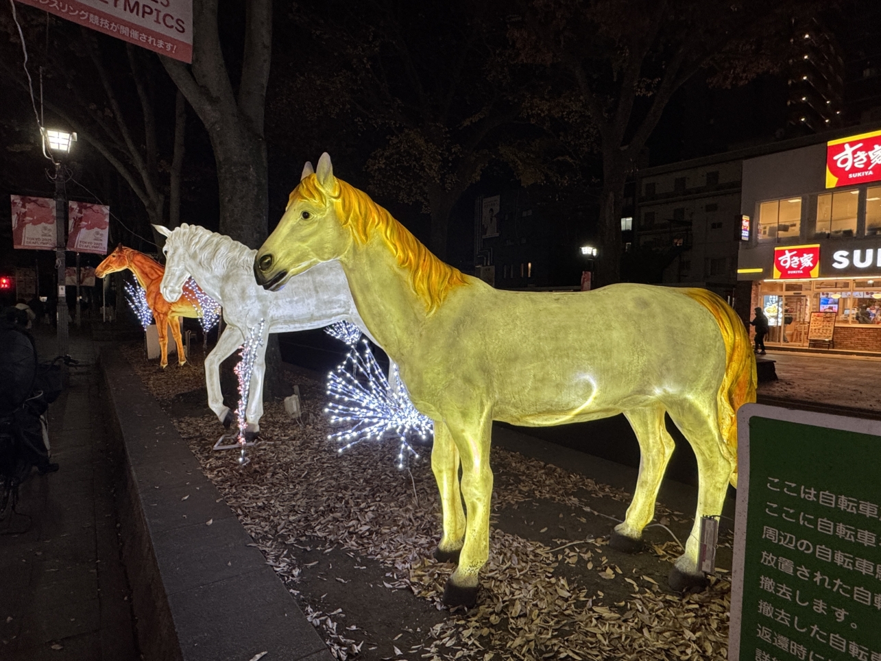 イルミネーションが点灯しました♪【イベント】