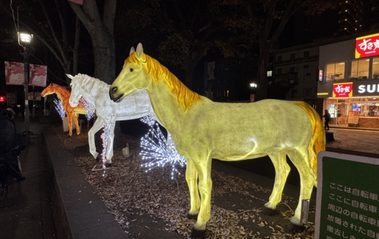 イルミネーションが点灯しました♪【イベント】