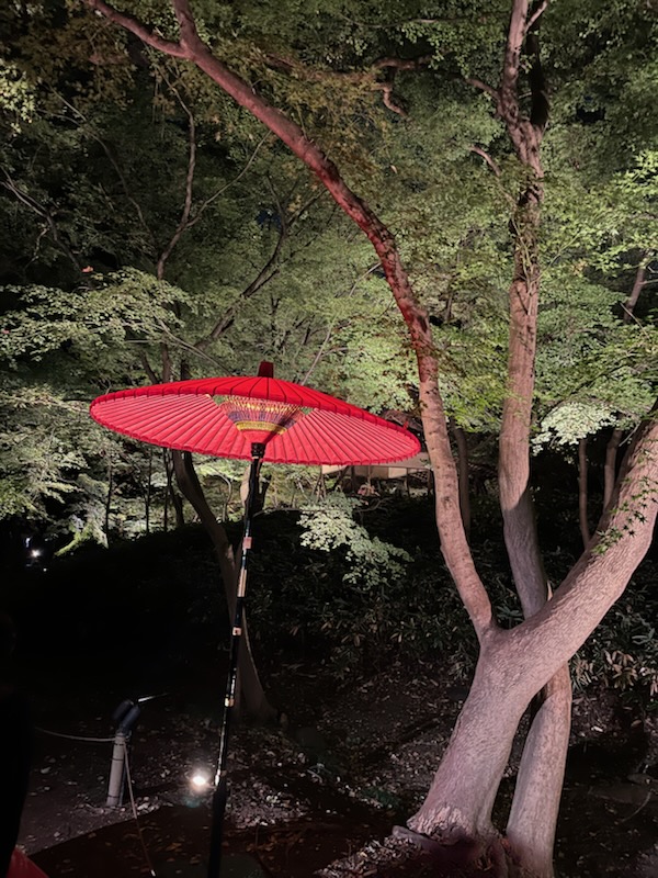 🍂六義園の紅葉ライトアップへ行ってきました🍂巣鴨・駒込