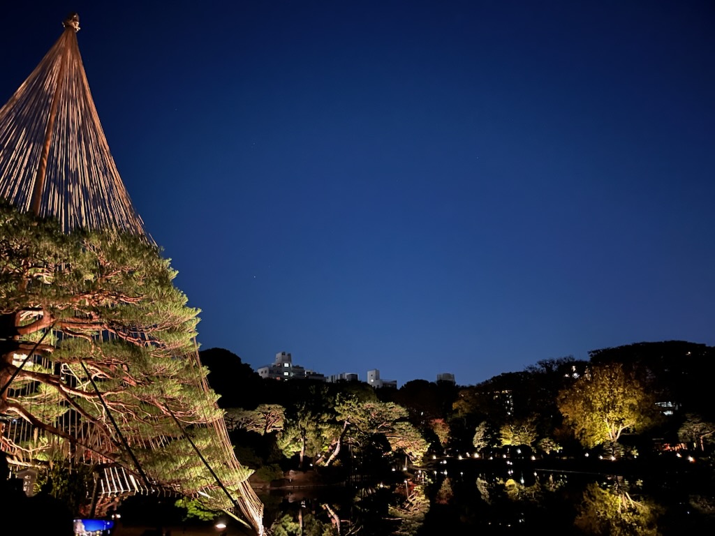 🍂六義園の紅葉ライトアップへ行ってきました🍂巣鴨・駒込