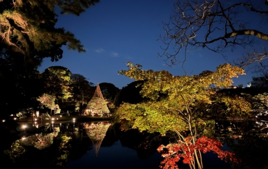🍂六義園の紅葉ライトアップへ行ってきました🍂巣鴨・駒込