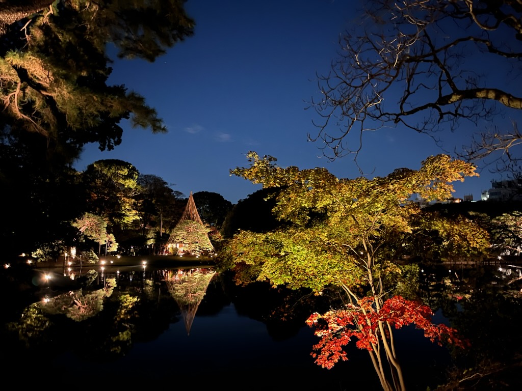 🍂六義園の紅葉ライトアップへ行ってきました🍂巣鴨・駒込