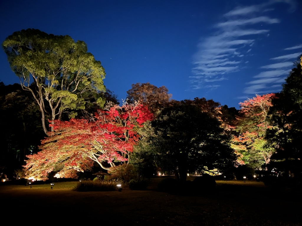 🍂六義園の紅葉ライトアップへ行ってきました🍂巣鴨・駒込