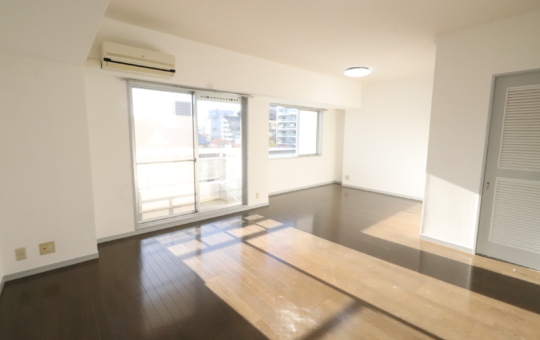 開放感ある広々１ＬＤＫ【プラネット永山】