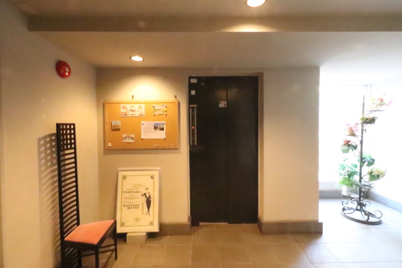 開放感ある広々１ＬＤＫ【プラネット永山】