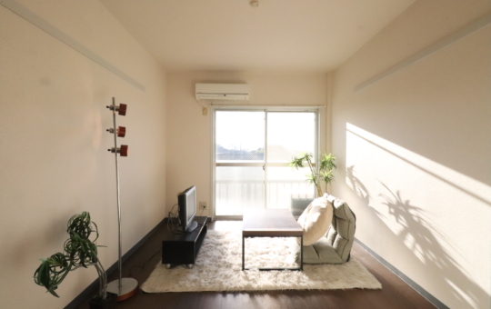 ペットと暮らせる駐車場付き物件【ビューハイツⅠ】