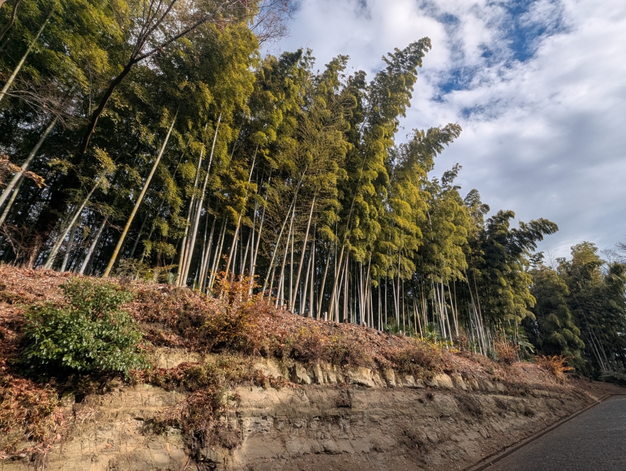 綱島鎮守　諏訪大社