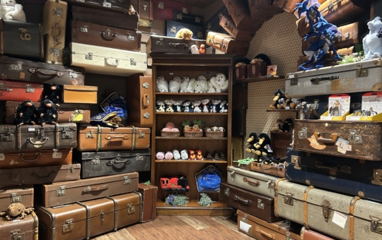 横浜ランドマークプラザ「ハリー・ポッター マホウドコロ」