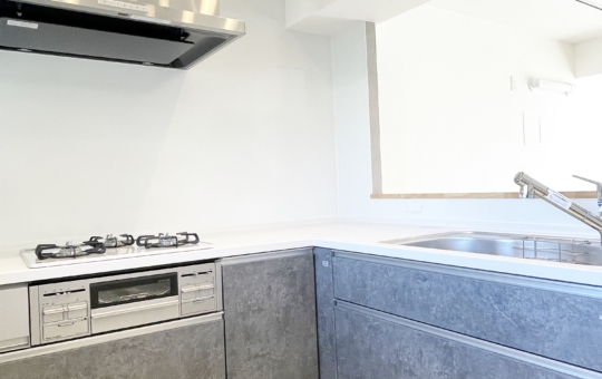 高級感溢れる1LDKがこの賃料で…！(府中西原住宅)