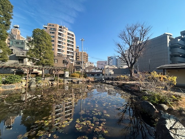【都会のオアシス】文京区・須藤公園でほっとひと息＜千駄木＞