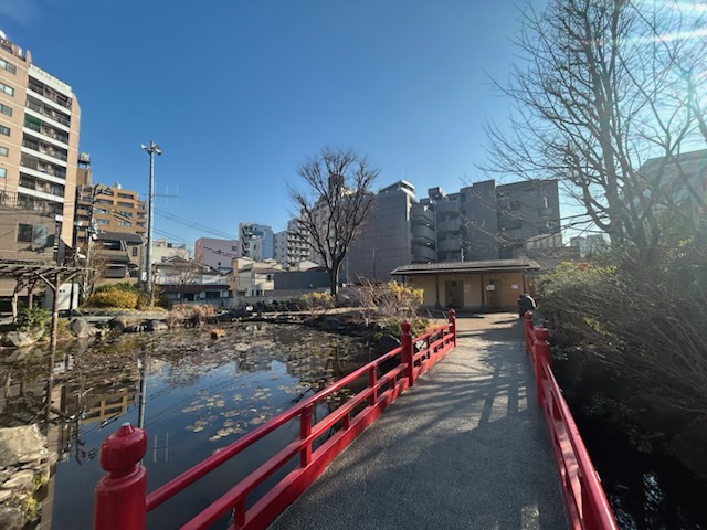 【都会のオアシス】文京区・須藤公園でほっとひと息＜千駄木＞