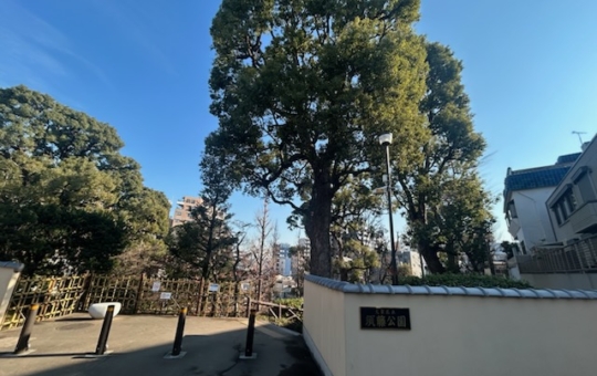 【都会のオアシス】文京区・須藤公園でほっとひと息＜千駄木＞